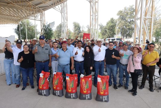 ENTREGA URBANO SEMILLA DE MAÌZ A PRODUCTORES