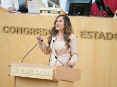 PAN PIDE REFORZAR PROTECCIÓN DE DATOS PERSONALES ANTE REGISTRO DE LÍNEAS CELULARES